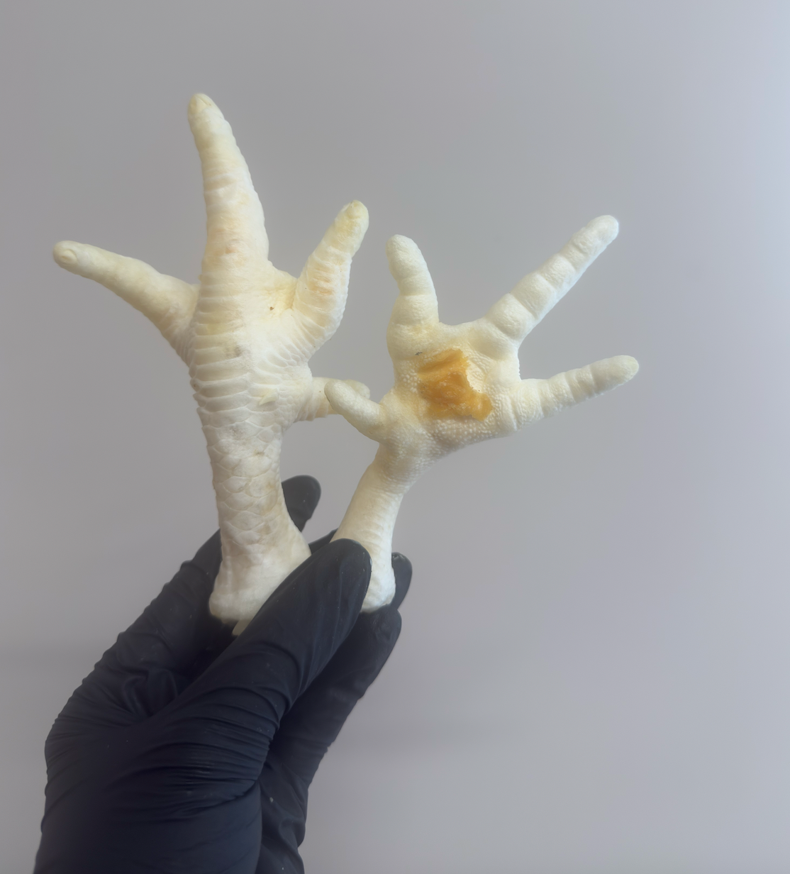 Puffed Chicken Feet – Crunchy & Airy Chews