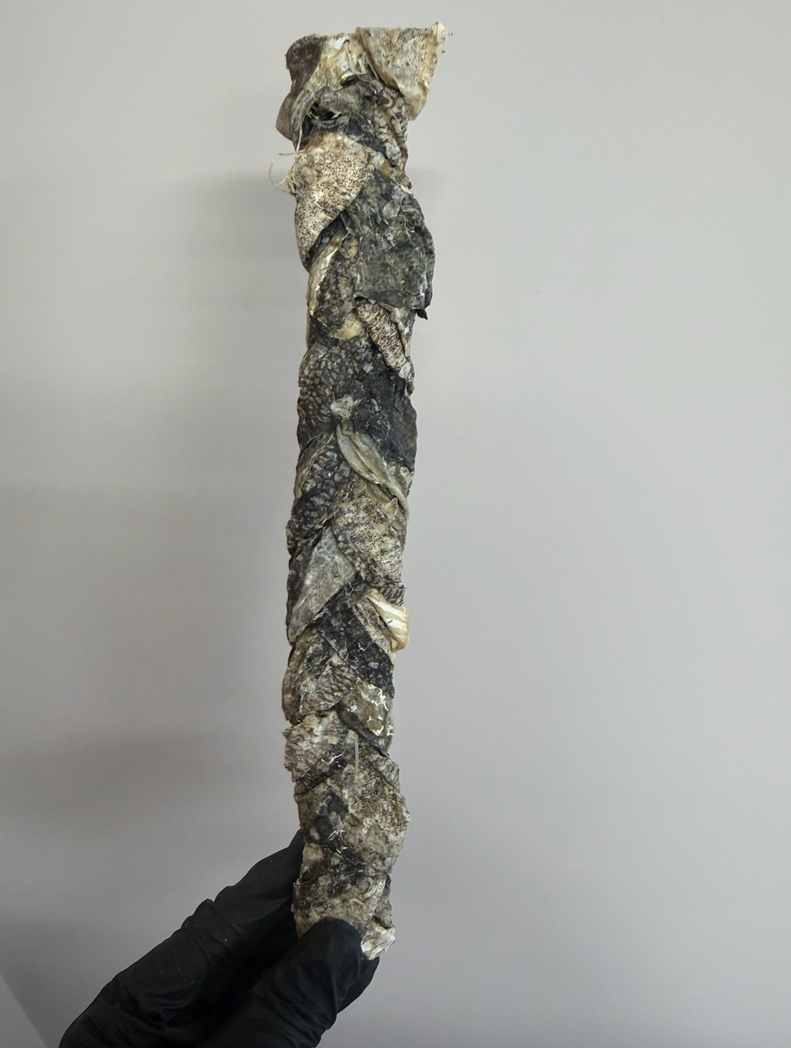 Long Fish Skin Braids – Omega-Rich, Crunchy & Great For Teeth