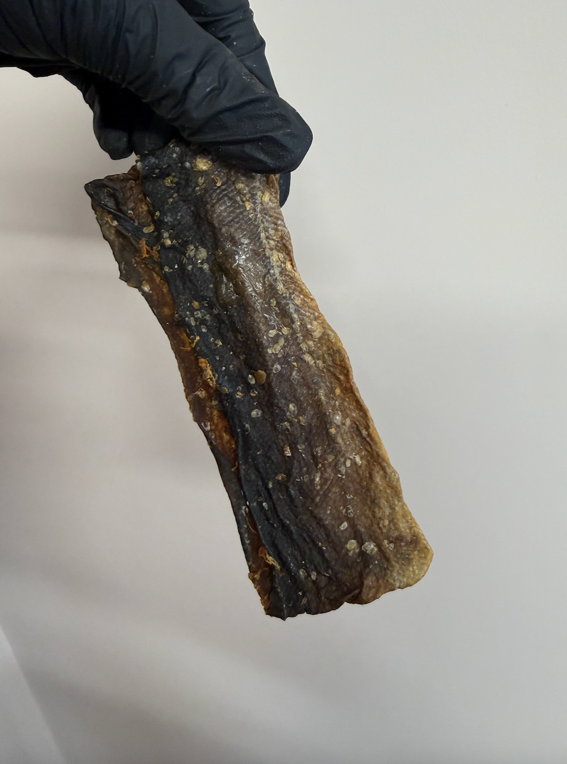 Salmon Skin Flatties – Omega-Rich, Gentle & Highly Digestible
