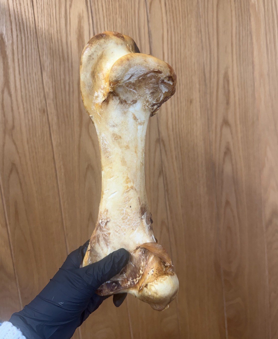 Ostrich Dino Bone - Giant, Hypoallergenic & Long-Lasting
