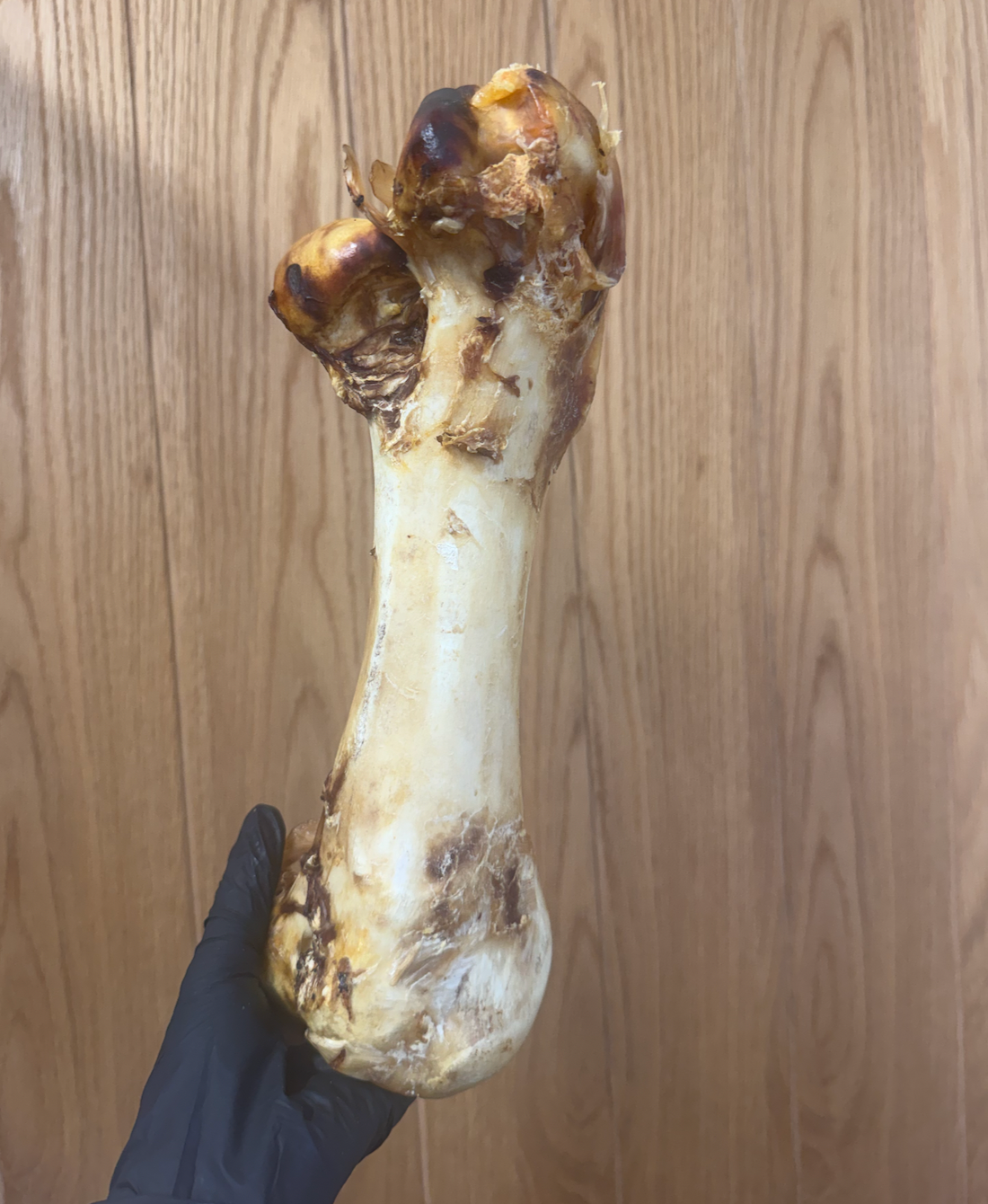 Ostrich Dino Bone - Giant, Hypoallergenic & Long-Lasting