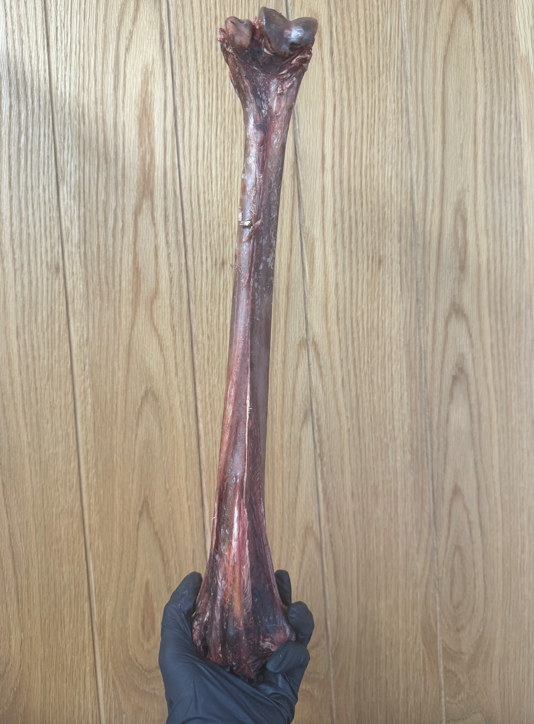 Ostrich Long Bone - Exotic, Lean & Naturally Hypoallergenic