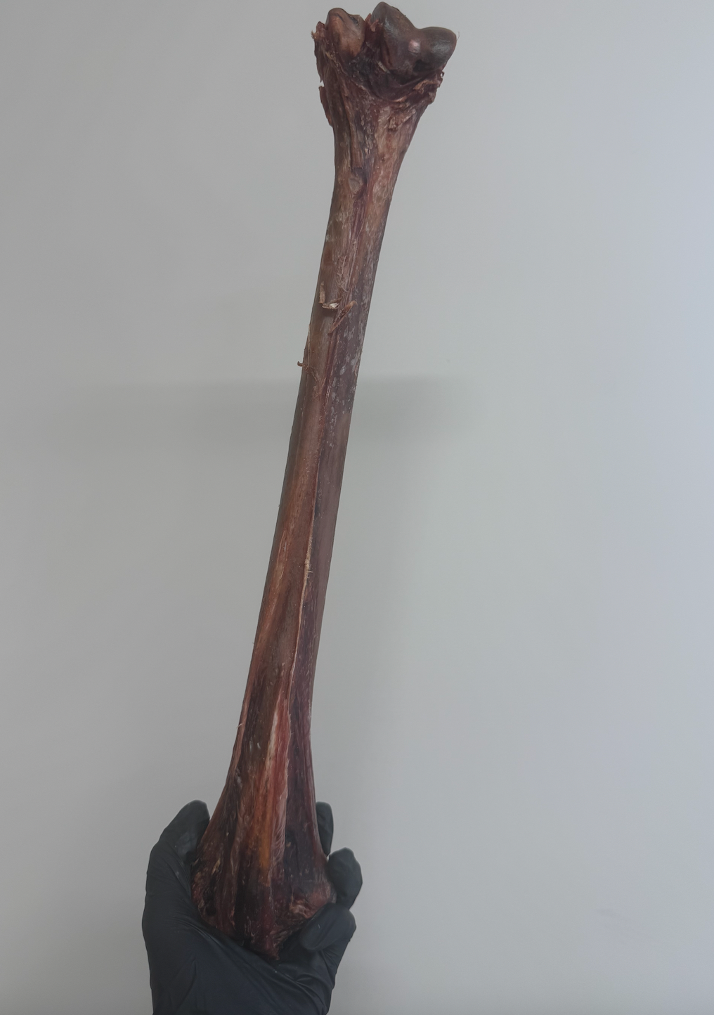 Ostrich Long Bone - Exotic, Lean & Naturally Hypoallergenic