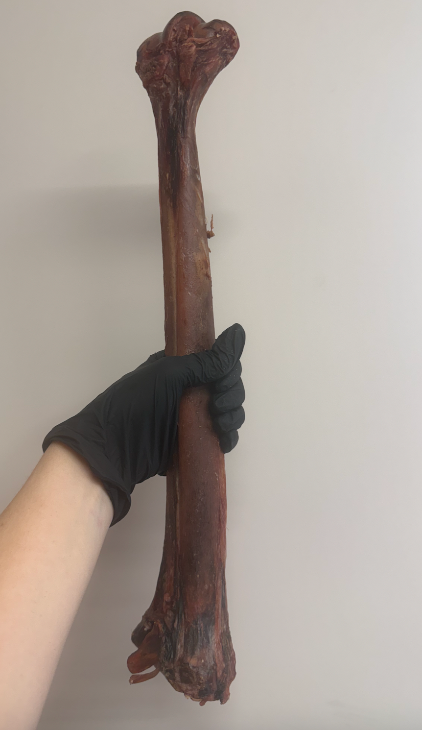 Ostrich Long Bone - Exotic, Lean & Naturally Hypoallergenic