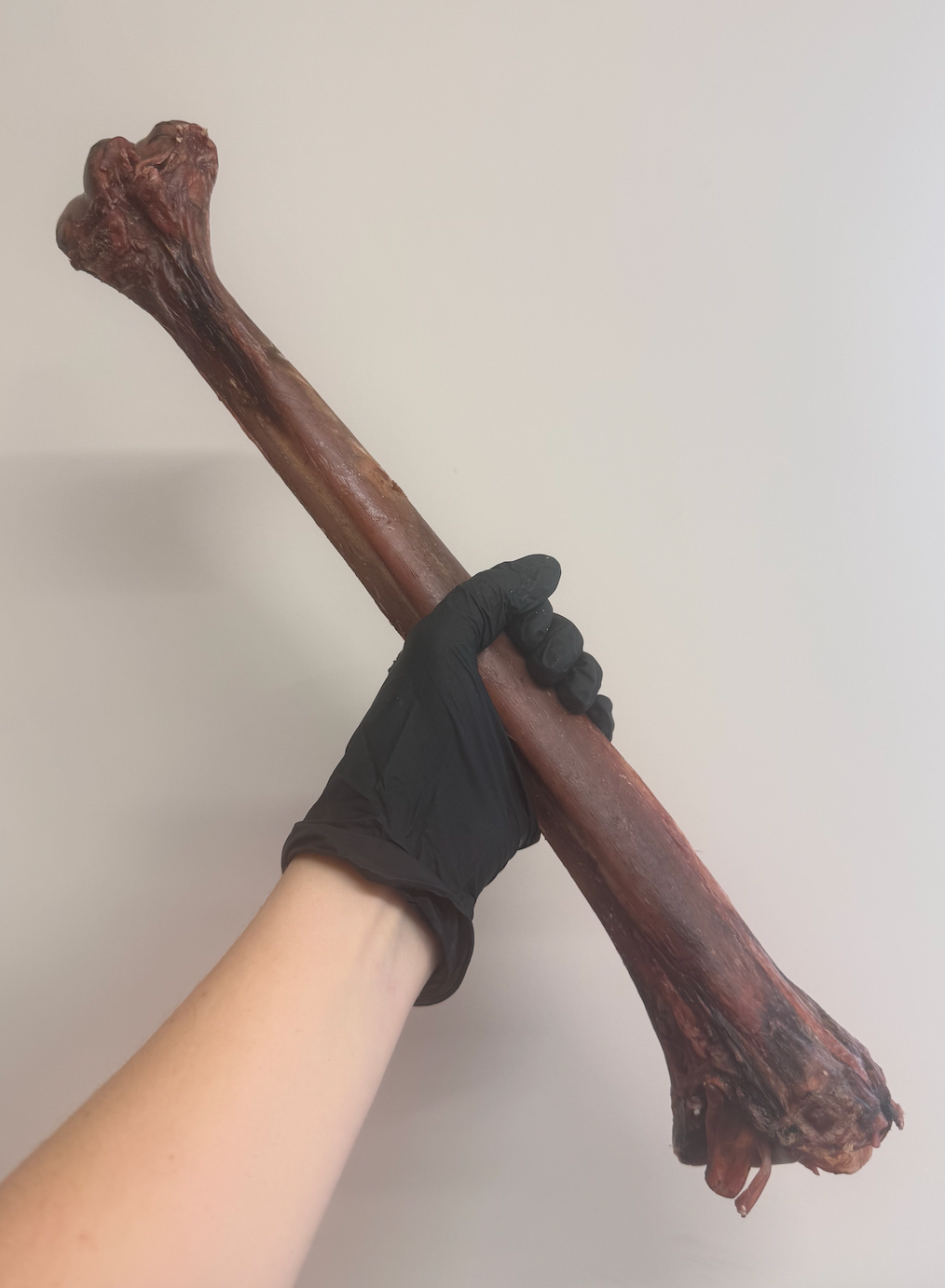 Ostrich Long Bone - Exotic, Lean & Naturally Hypoallergenic