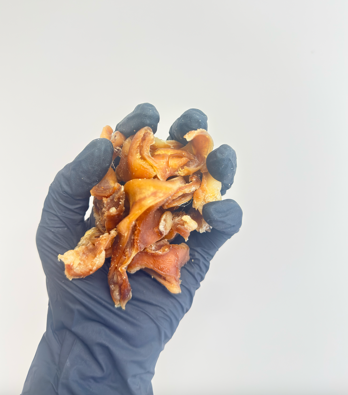 Porky Bites aka Pork Inner Ear – Crunchy, Protein-Packed & Naturally Nutritious