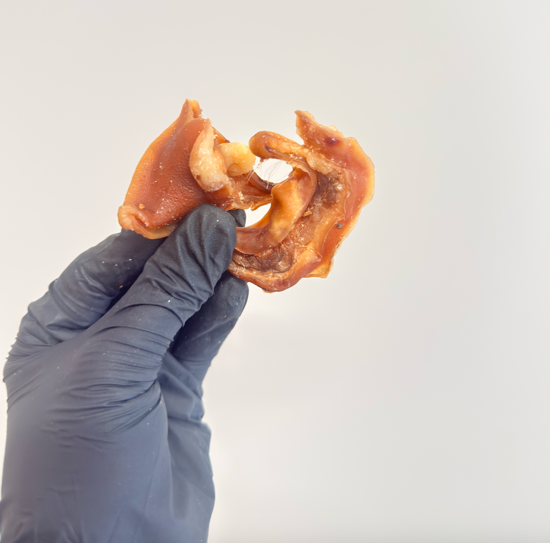 Porky Bites aka Pork Inner Ear – Crunchy, Protein-Packed & Naturally Nutritious