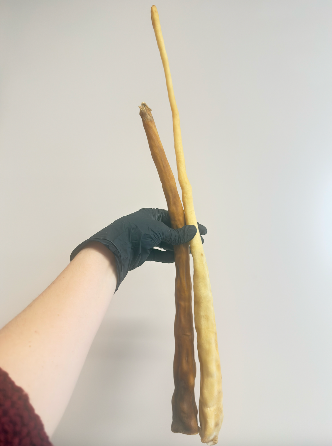XL Buffalo Tails - Sizes between 25cm and 45cm