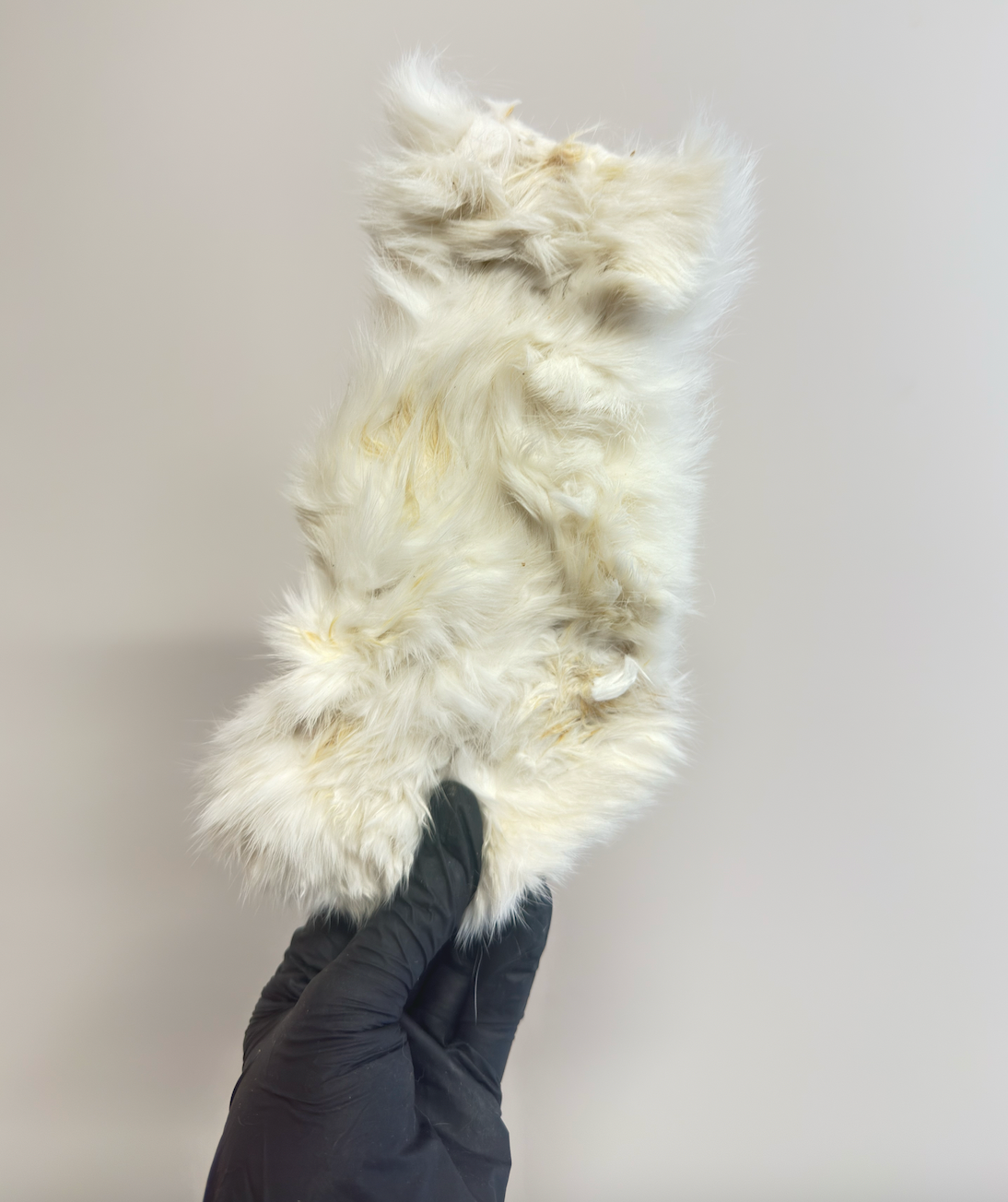 Hairy Rabbit Skin – Natural, Chewy & Digestive-Supporting