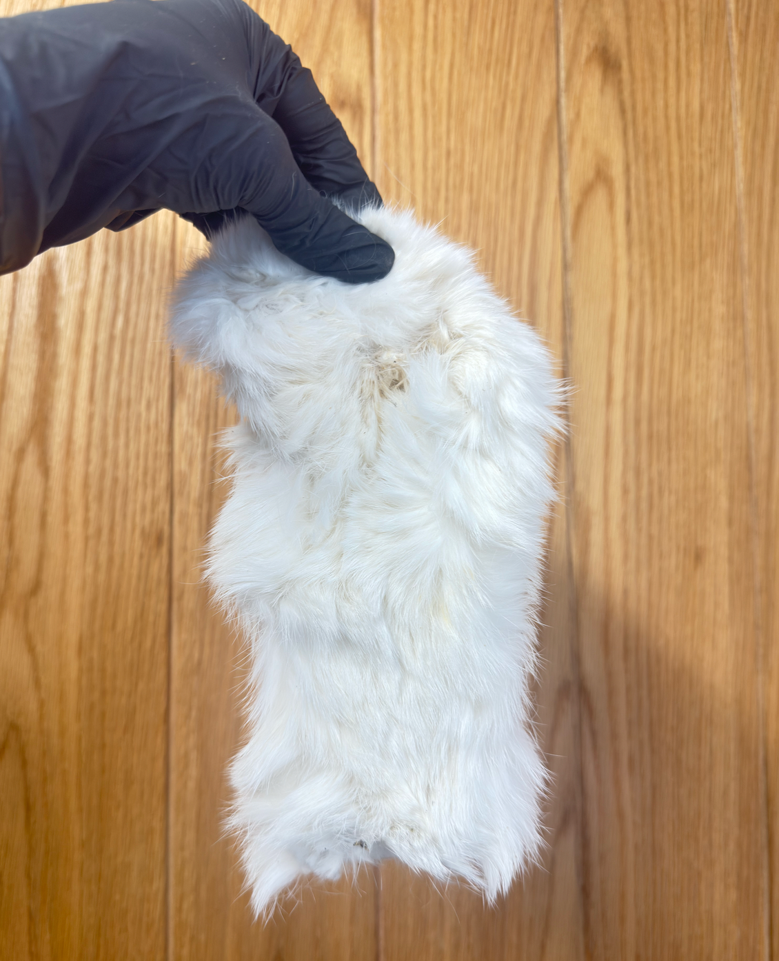 Hairy Rabbit Skin – Natural, Chewy & Digestive-Supporting