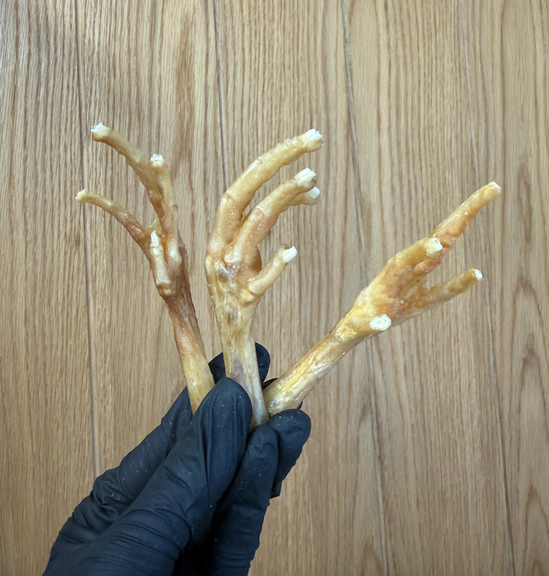 Chicken Feet – Joint & Dental Supporting Treats