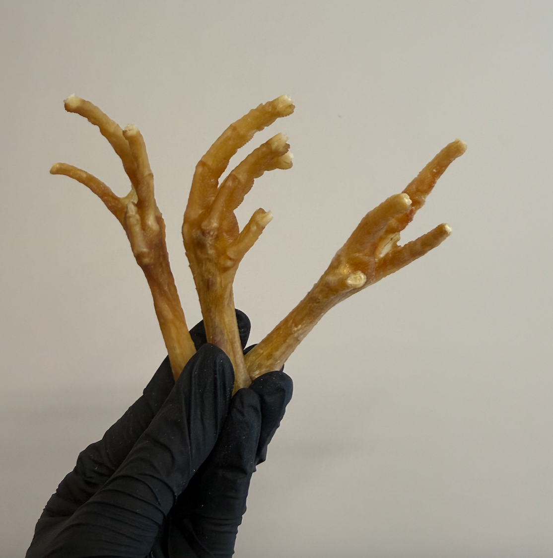 Chicken Feet – Joint & Dental Supporting Treats