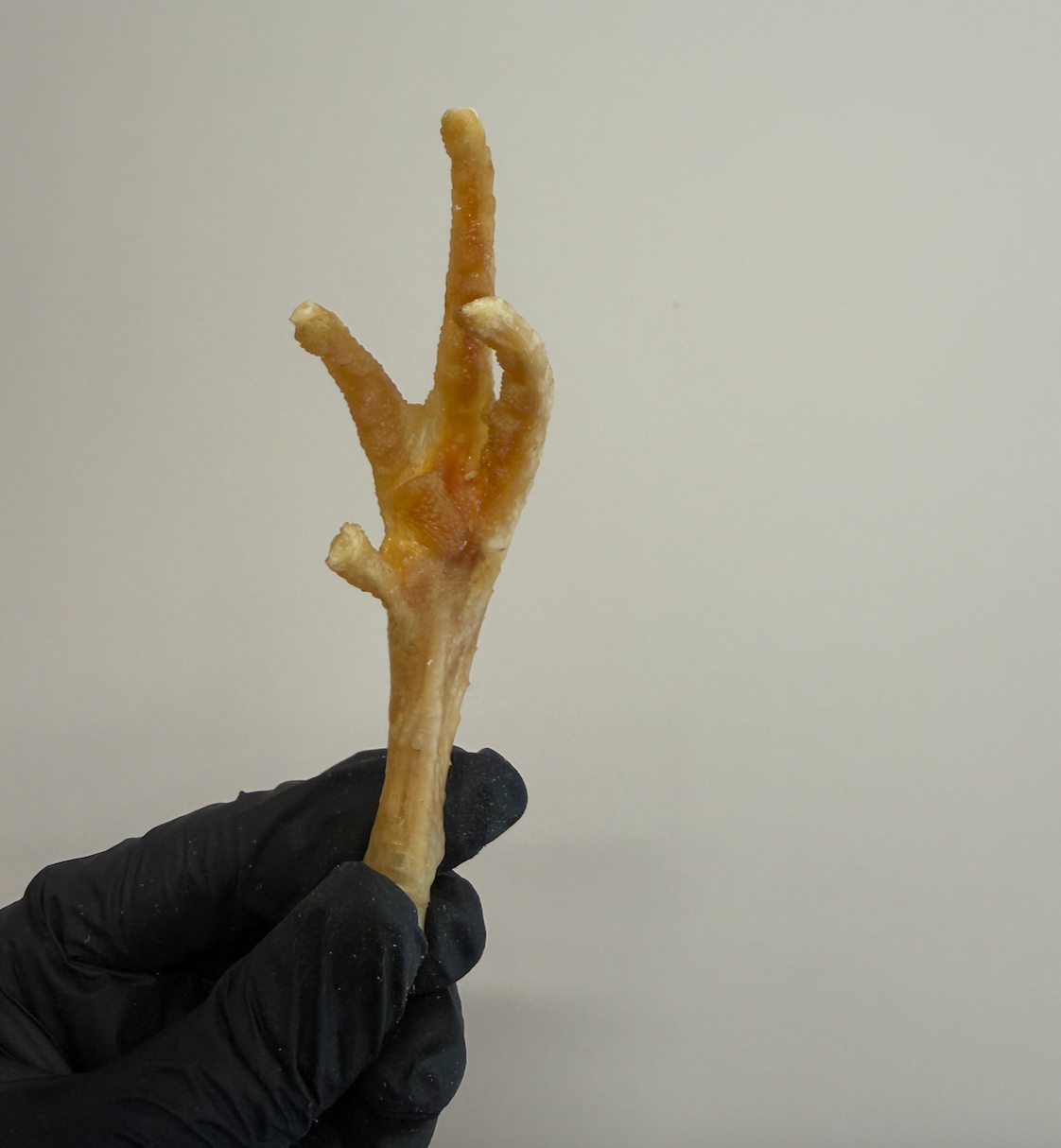 Chicken Feet – Joint & Dental Supporting Treats