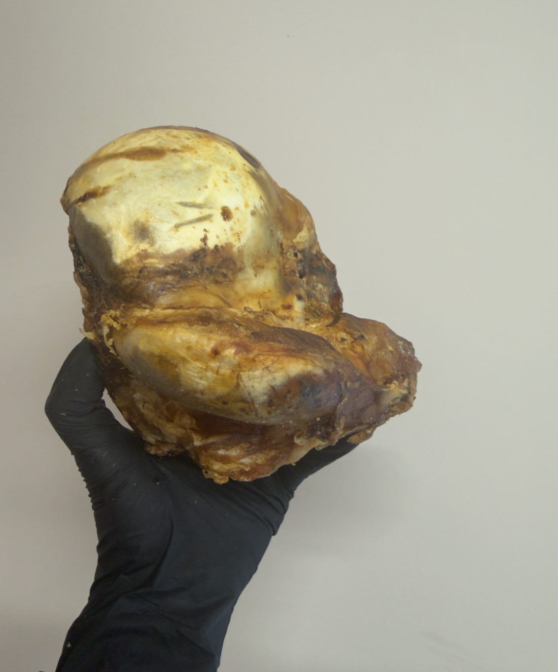 2 x British Beef Knuckle Bones – Tough & 100% Beef