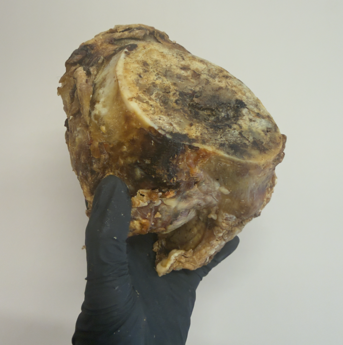 2 x British Beef Knuckle Bones – Tough & 100% Beef