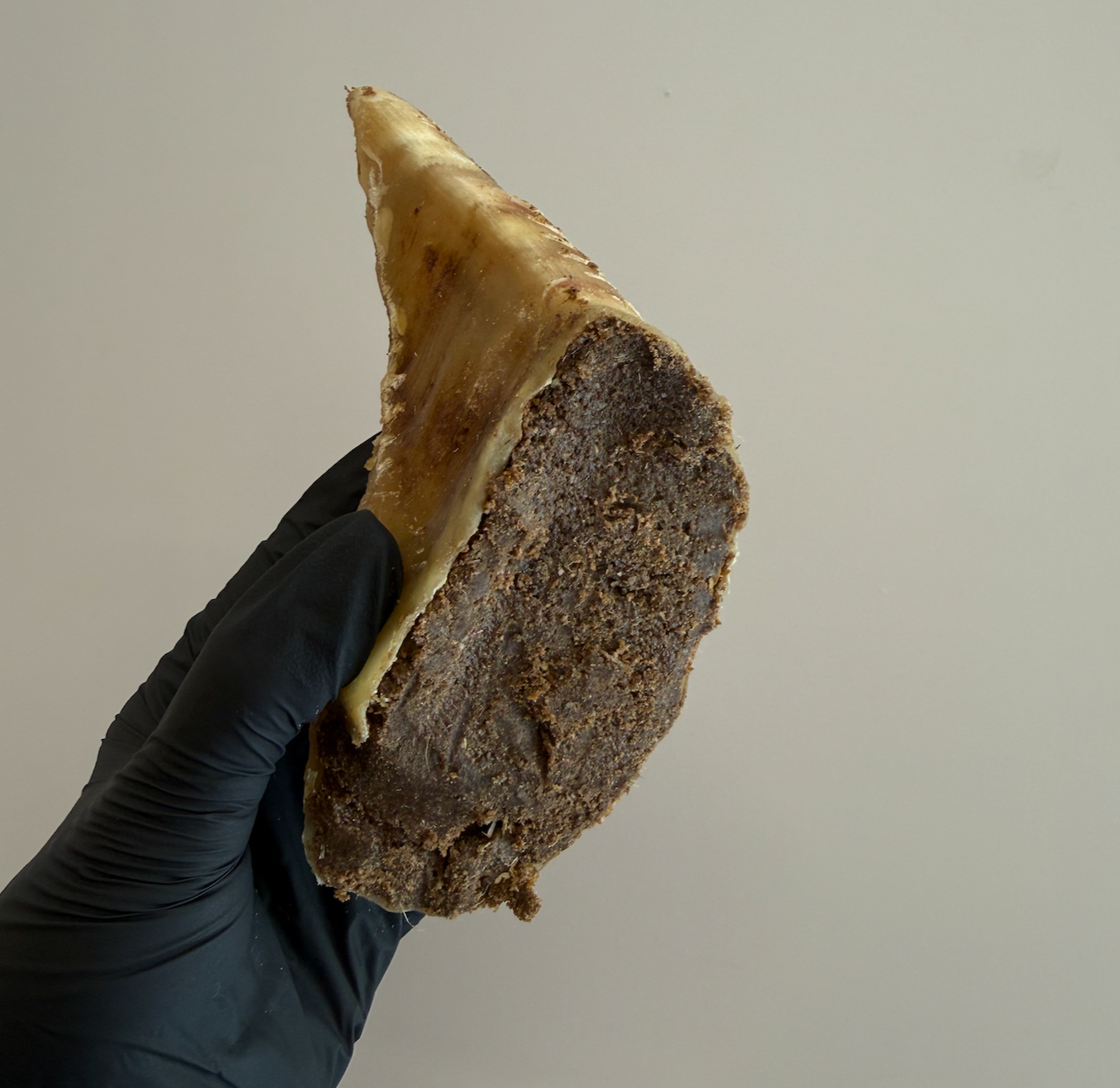 Meat Filled Beef Hooves – Protein-Rich Enrichment Chew For Dogs