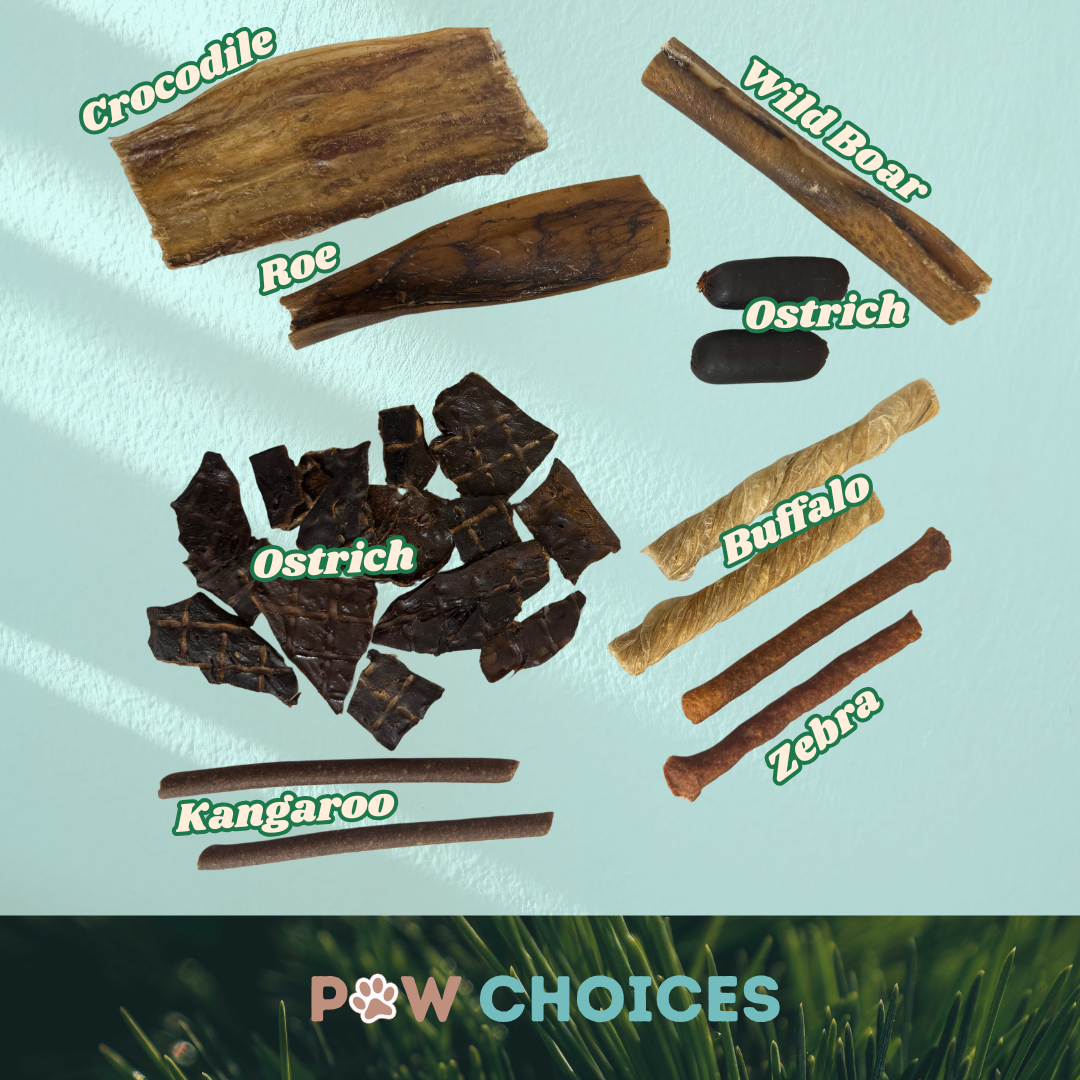 Taste of The Wild Bundle - Seriously Novel & Hypoallergenic Dog Treats