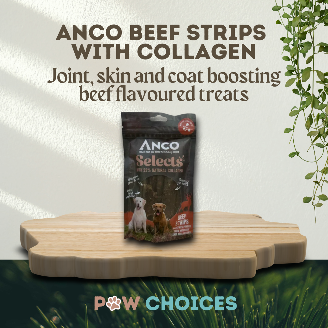 Anco Selects Beef Strips with Collagen