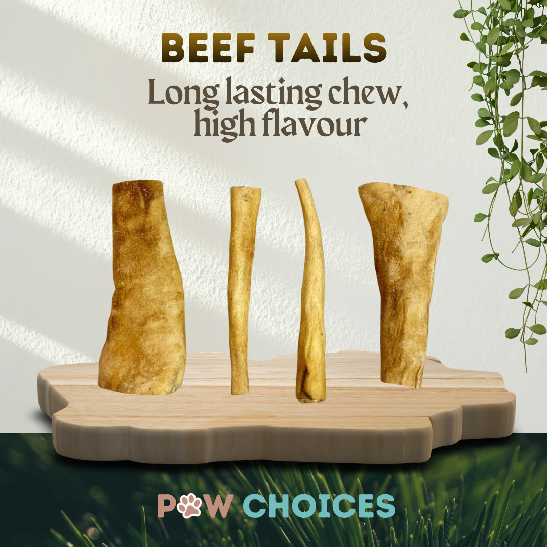 Beef Tails – Long Lasting Collagen Chew For Busy Jaws