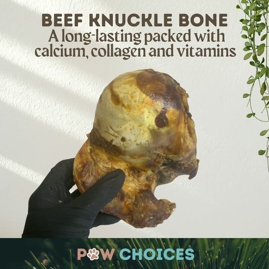 2 x British Beef Knuckle Bones – Tough & 100% Beef
