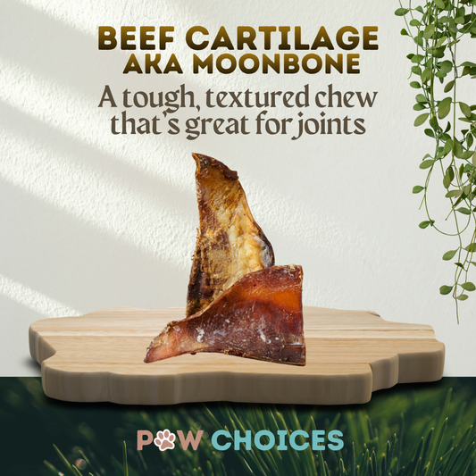 Medium Beef Moon Bone - Tough, Mighty & Not Actual Bone