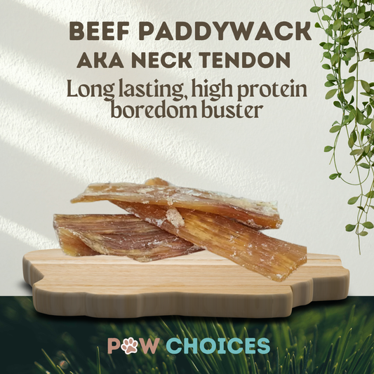 Beef Paddywack – Long Lasting Collagen Rich Chew