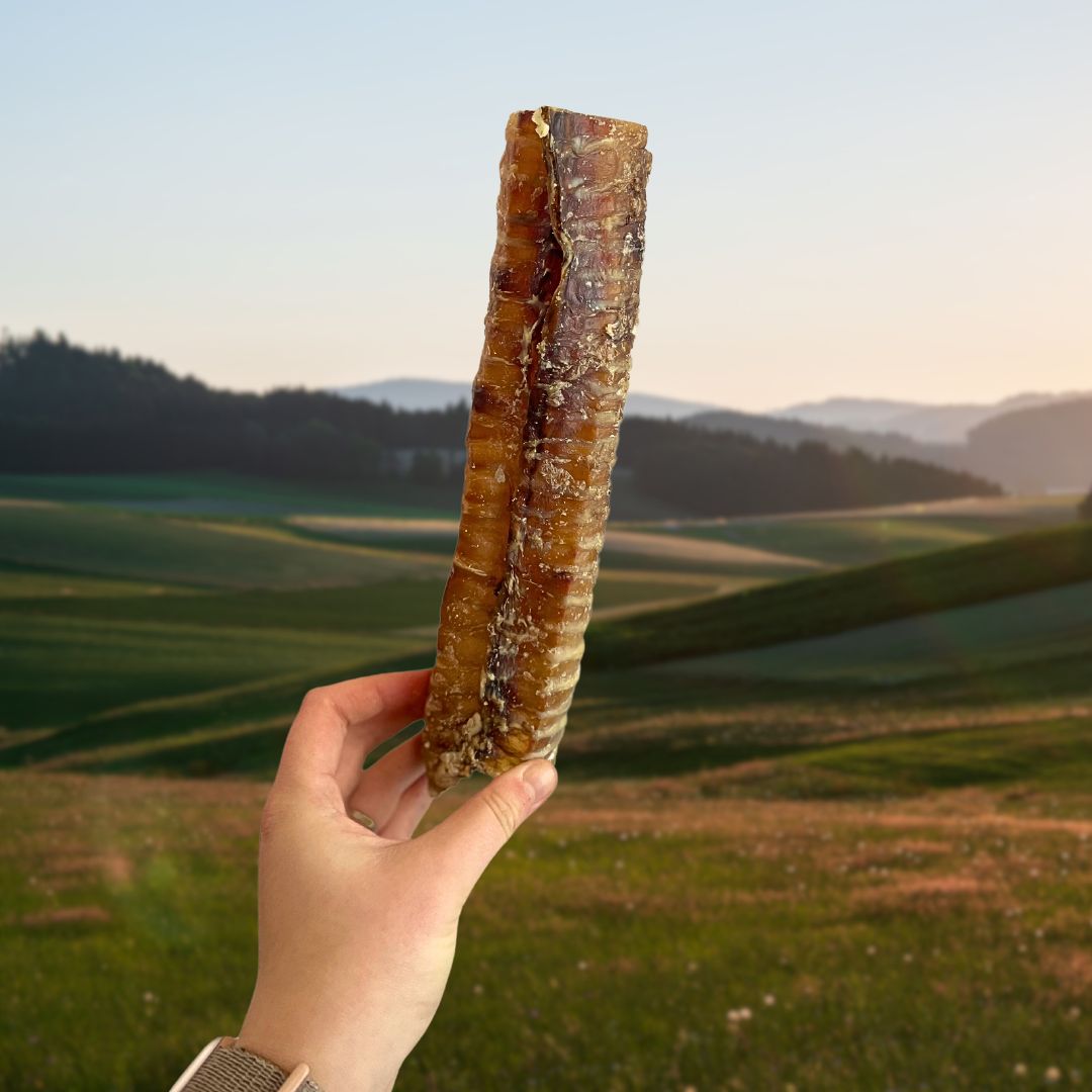 Beef Trachea – Moo Tubes: Crunchy Collagen-Rich Chews