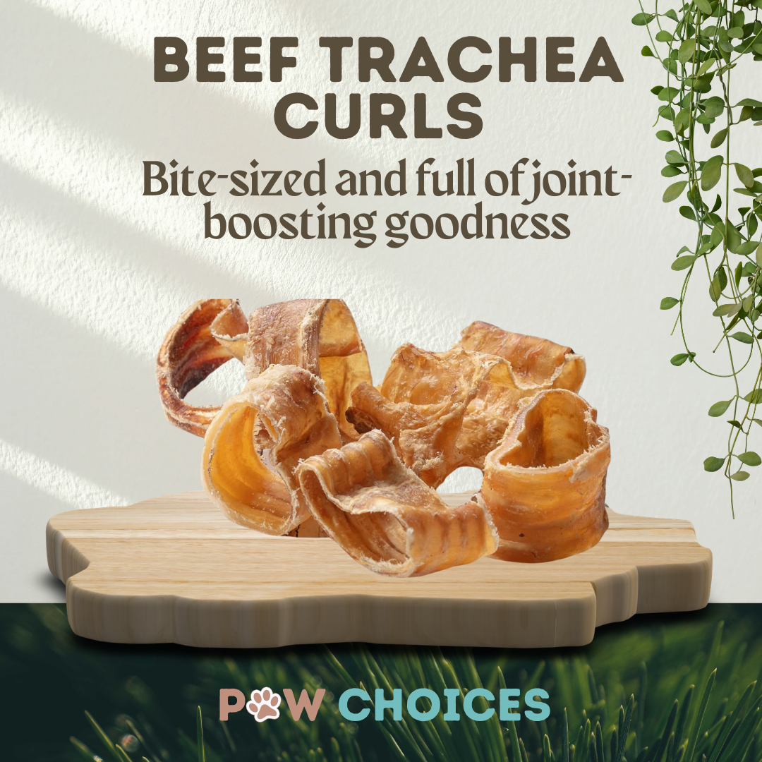 Beef Trachea Curls– Small Crunchy & Great For Joints