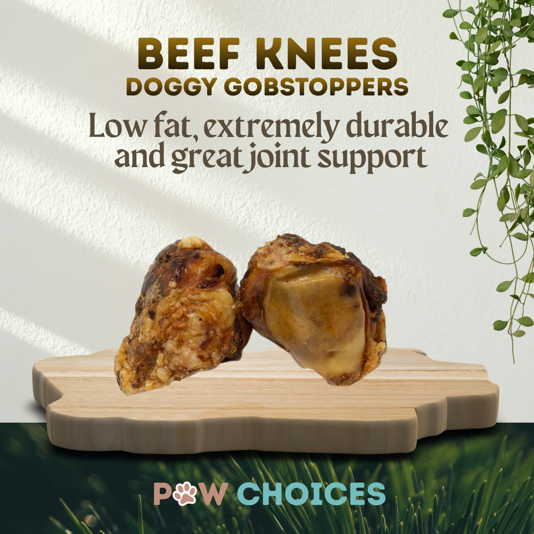 2 x Beef Knees – Durable Chew Great For Dental And Jaw Strength