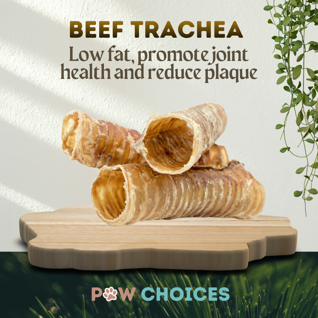 Beef Trachea – Moo Tubes: Crunchy Collagen-Rich Chews