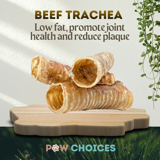 Beef Trachea – Moo Tubes: Crunchy Collagen-Rich Chews