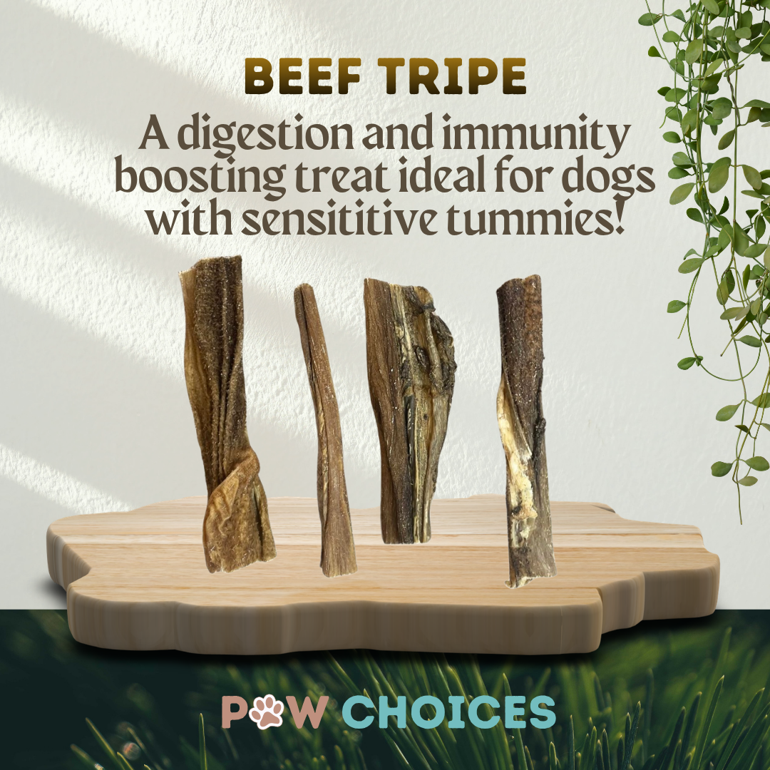 Beef Tripe – Crunchy & Packed With Probiotics To Support Gut Health