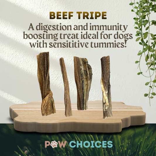 Beef Tripe – Crunchy & Packed With Probiotics To Support Gut Health