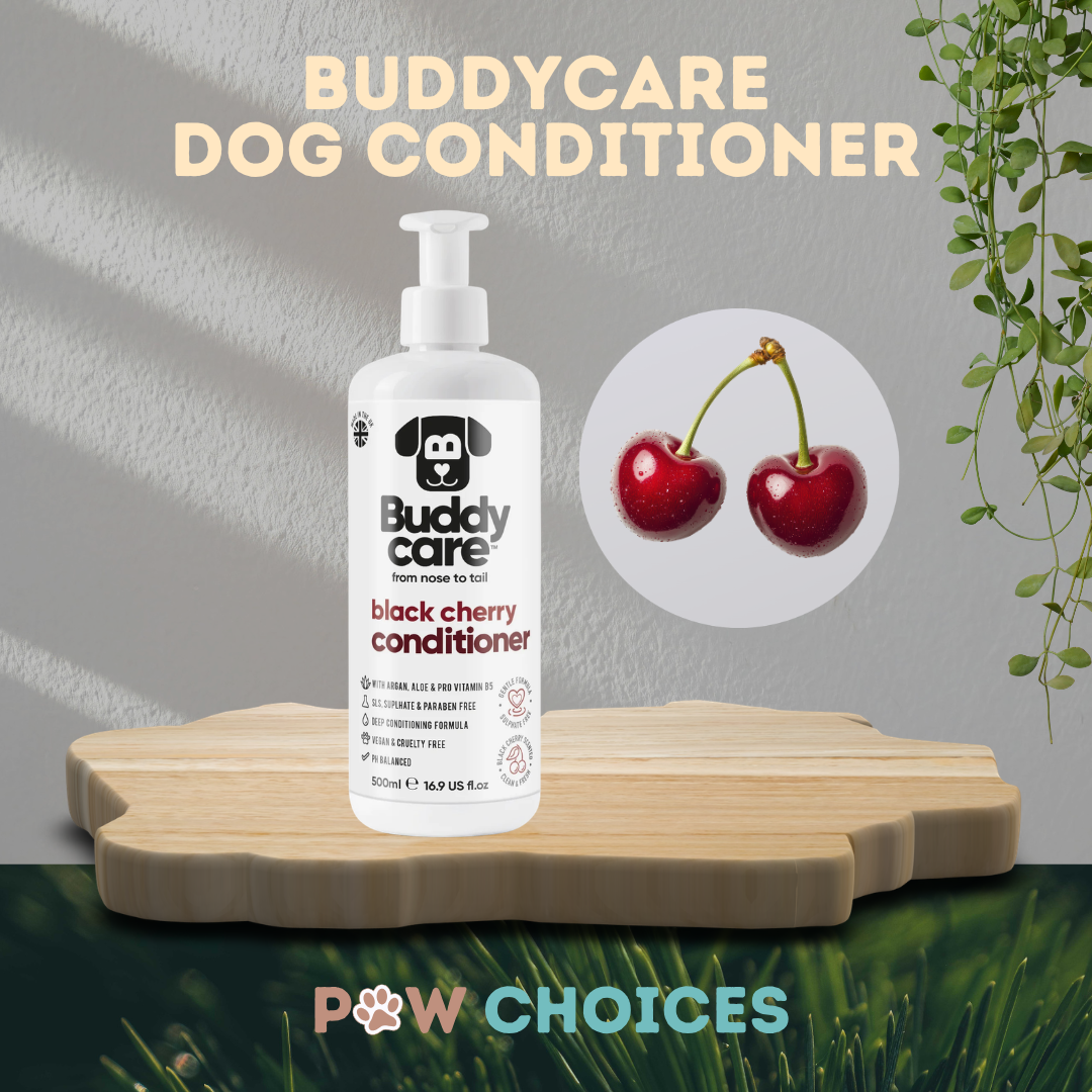 Buddycare Black Cherry Dog Conditioner | 500ml | Paw Choices