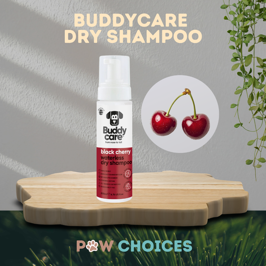 Buddycare Black Cherry Waterless Dry Dog Shampoo | 200 ml | Paw Choices