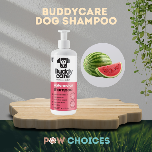 Buddycare Watermelon Dog Shampoo | 500 ml | Paw Choices