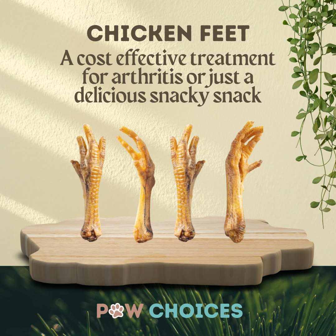 Chicken Feet – Joint & Dental Supporting Treats