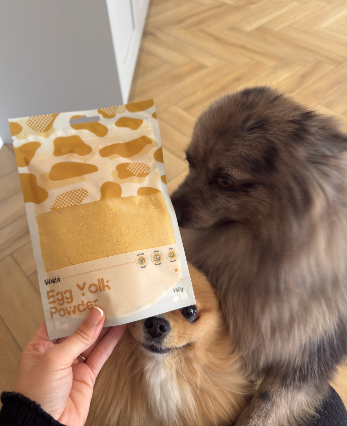 egg yolk powder waita dogs and cats
