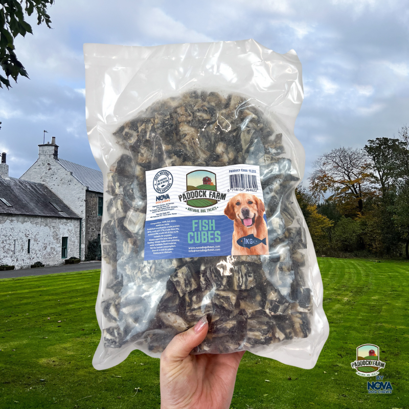 Fish Skin Cubes – Bite-Sized, Crunchy & Omega-Rich Training Treats