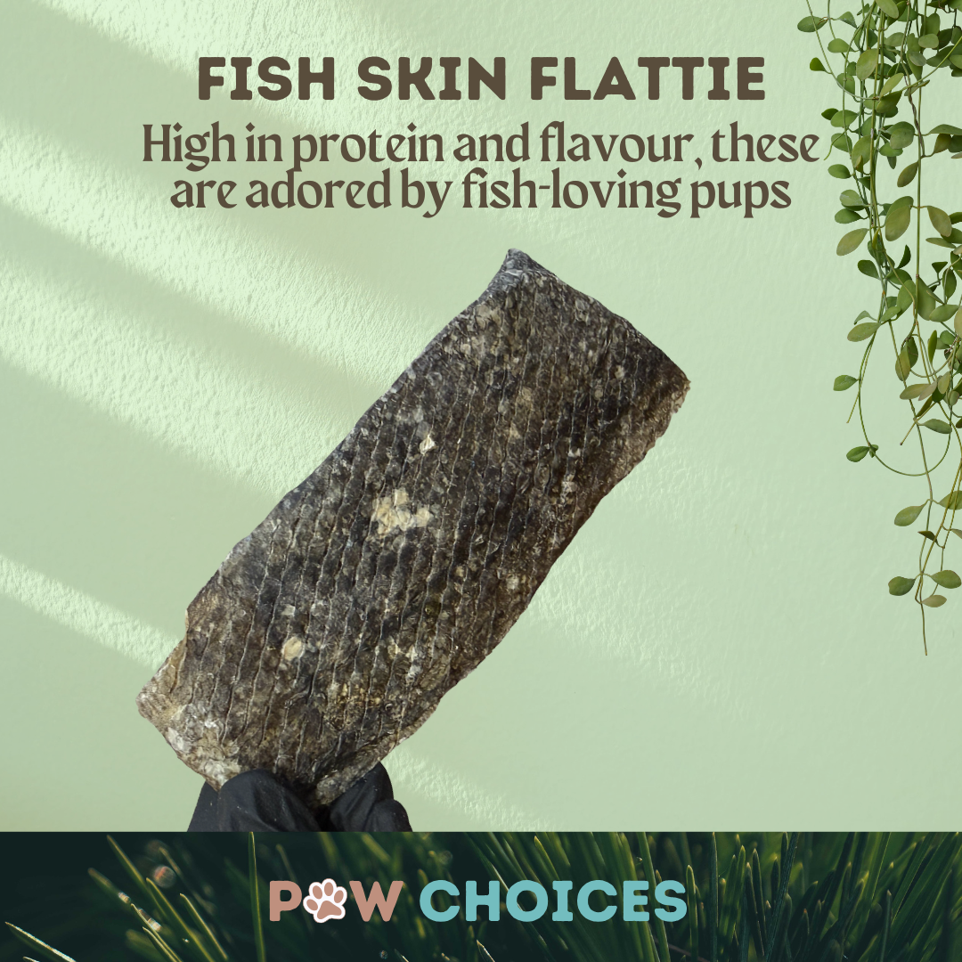 Fish Skin Flatties – Crunchy & Packed With Omega