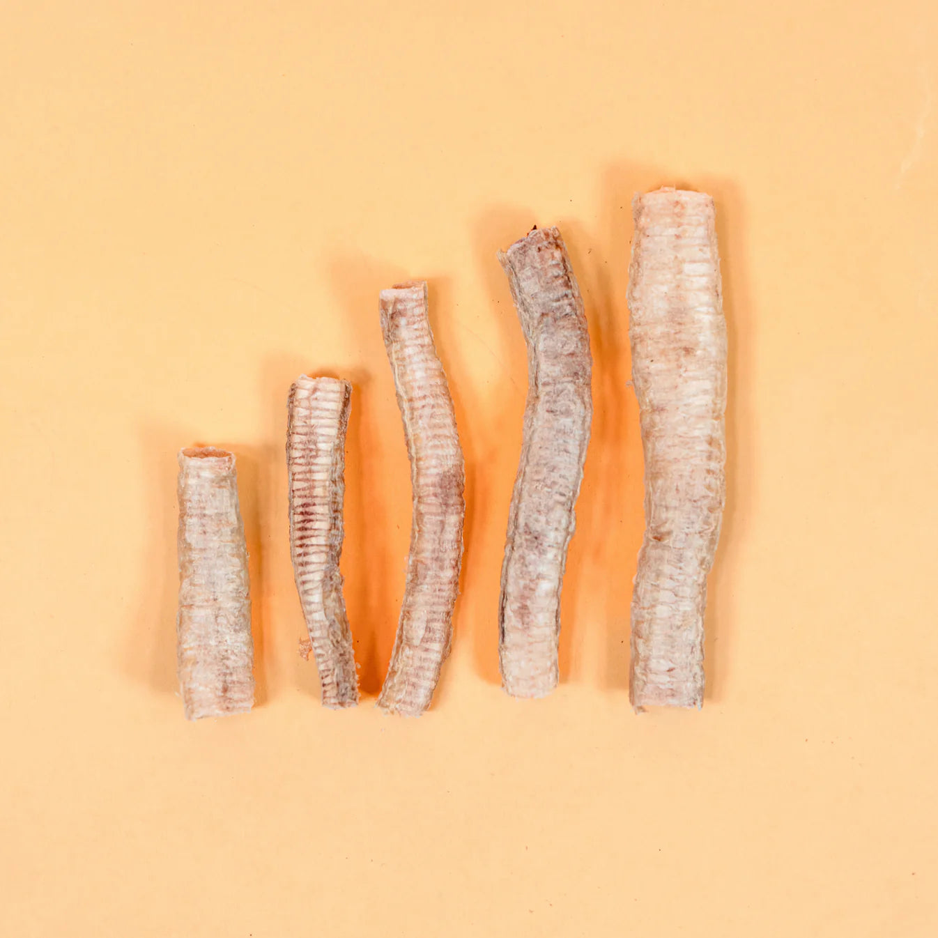 Waita Freeze‑Dried Goose Trachea (25g) For Dogs & Cats