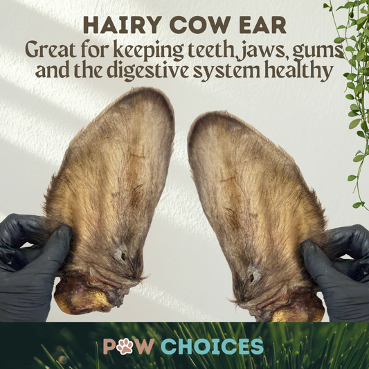 Hairy Cow Ears – Chewy Treat With Natural Digestive Support