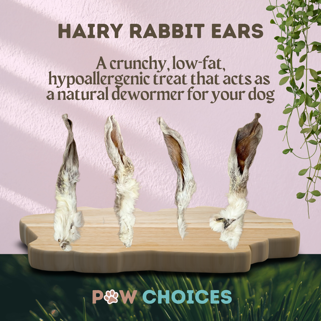 Hairy Rabbit Ears – Chewy, Natural & Enriching