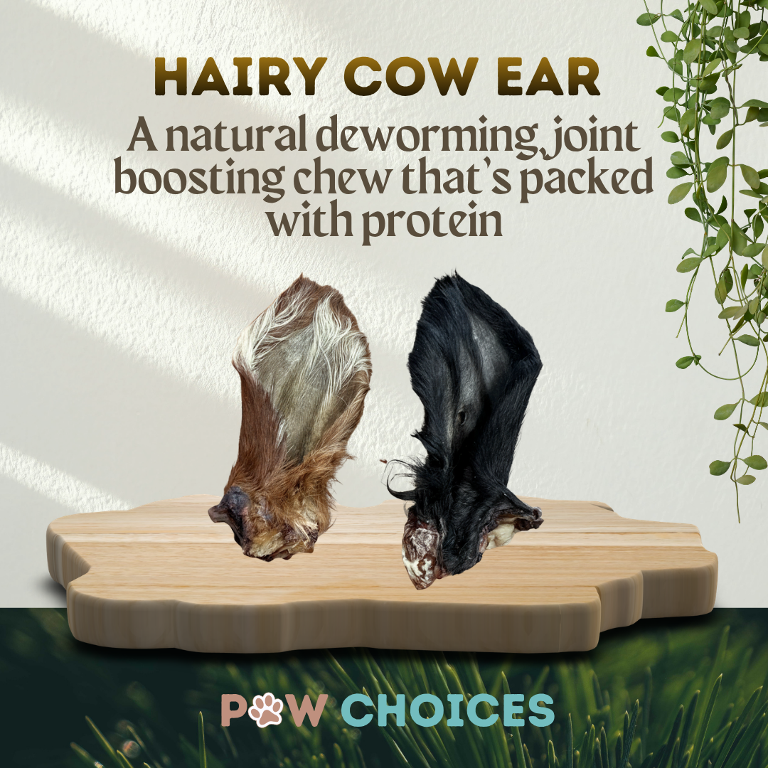 Hairy Cow Ears – Chewy Treat With Natural Digestive Support