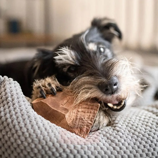Small Heather Root - A Durable, Non Splintering Natural Chew for Little Doggos