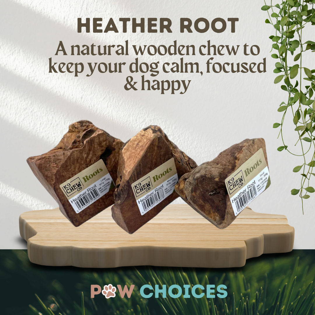 Large Heather Root - Durable, Natural & Non Splintering For Bigger Doggos