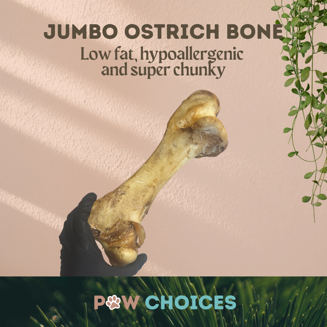 Ostrich Dino Bone - Giant, Hypoallergenic & Long-Lasting