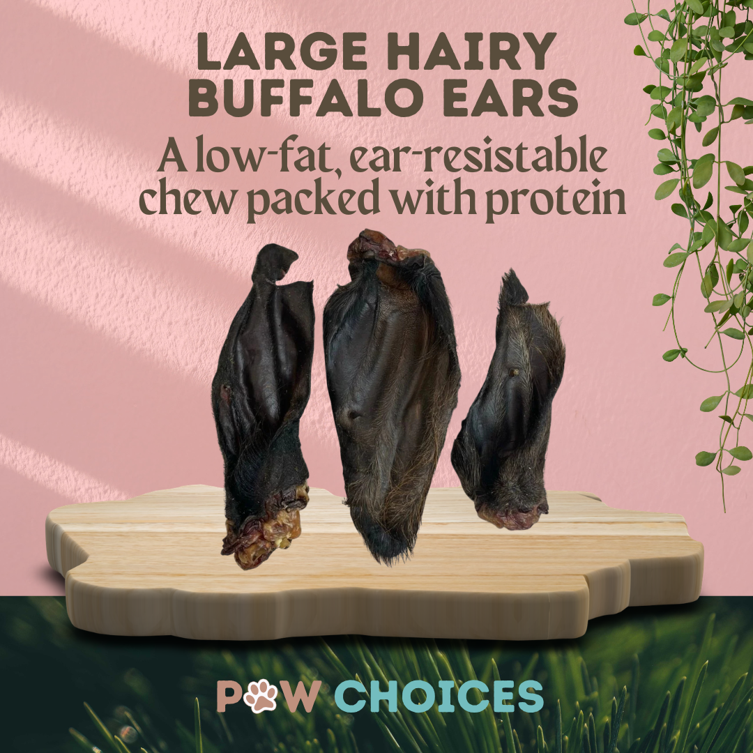 Large Hairy Buffalo Ears