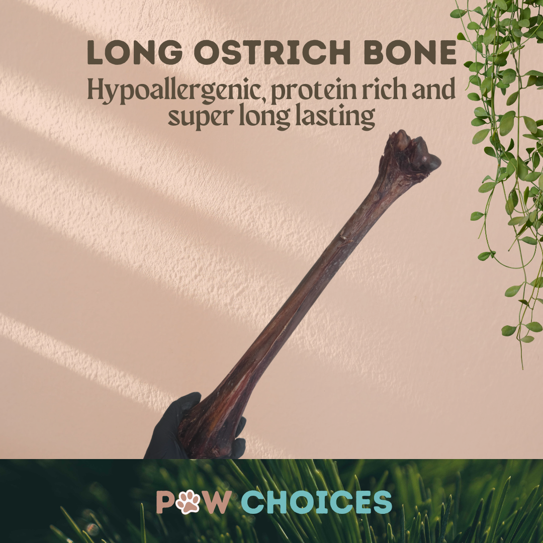 Ostrich Long Bone - Exotic, Lean & Naturally Hypoallergenic