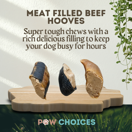 5 x Meat Filled Beef Hooves – Protein-Rich Enrichment Chew For Dogs